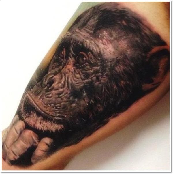 tatuagem macaco 386