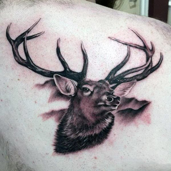 tatuagem cervo 12