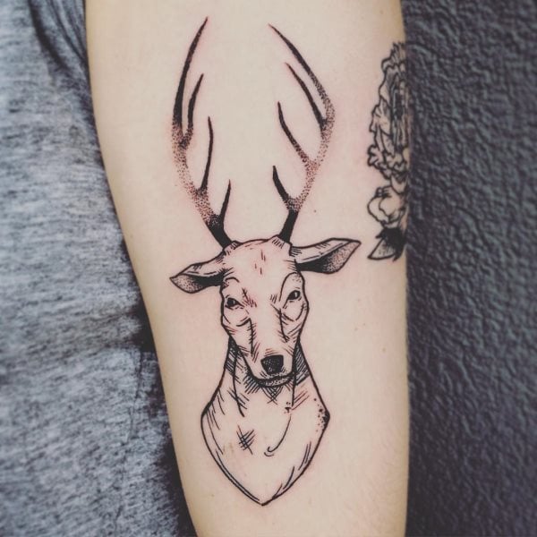 tatuagem cervo 162