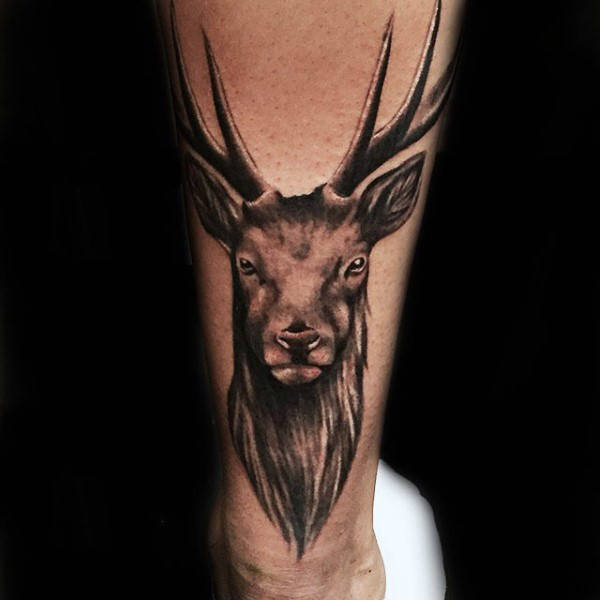 tatuagem cervo 30