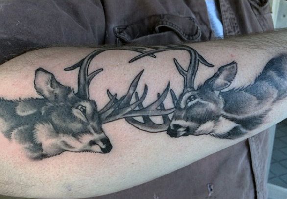 tatuagem cervo 324