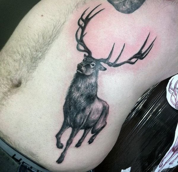 tatuagem cervo 354