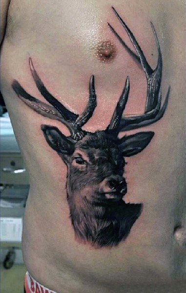 tatuagem cervo 356
