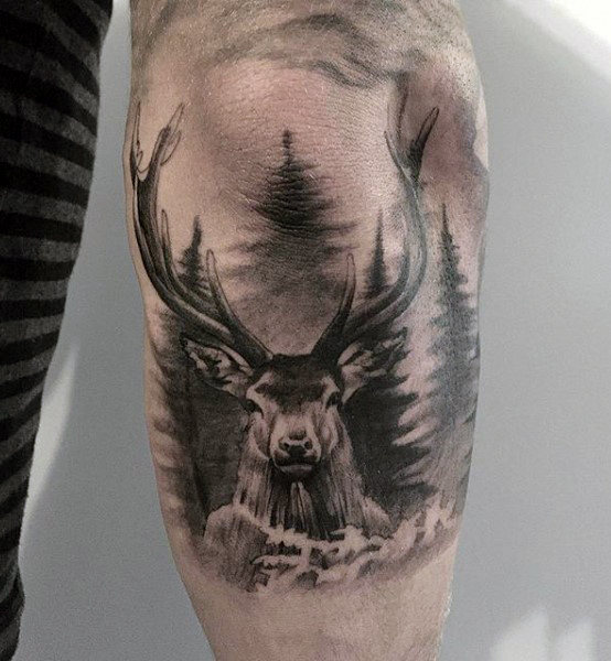 tatuagem cervo 382