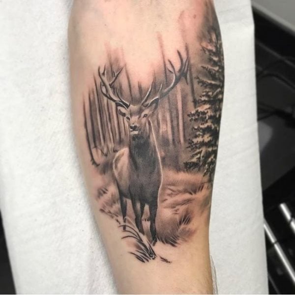 tatuagem cervo 48