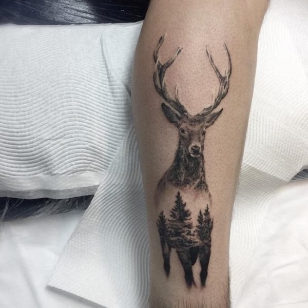 tatuagem cervo 50