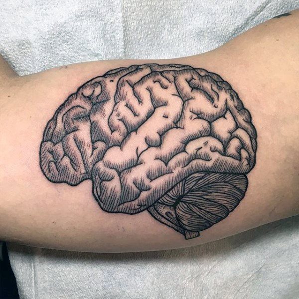 tatuagem cerebro 31